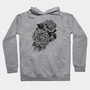 Black Roses Vinate Botanical Illustration Hoodie